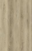 Bermuda Planks Sargasso